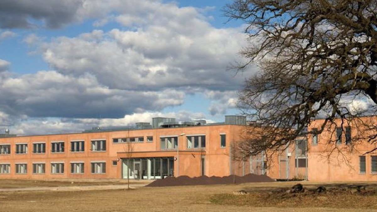 Arhiva foto