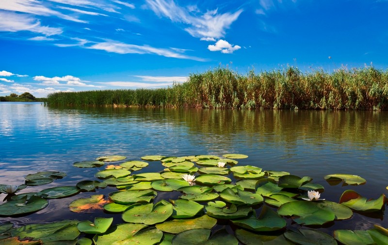 Rezervația Biosferei Delta Dunării are un nou guvernator. Cătălin Țibuleac a fost înlocuit
