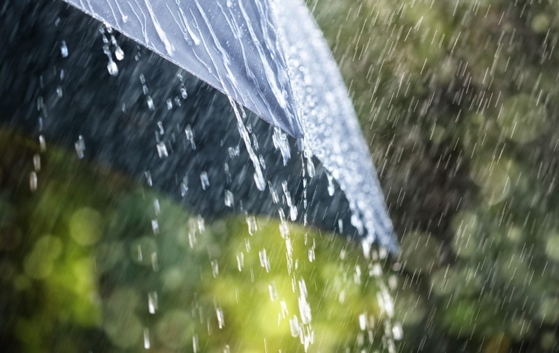 Știința din spatele mirosului ploii, cunoscut sub numele de „petrichor”