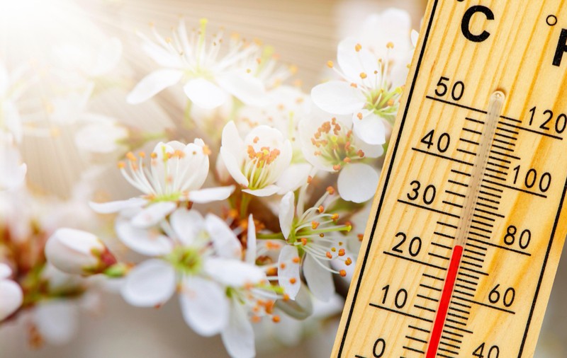 Cum va fi vremea în perioada 24 martie - 20 aprilie 2025. Prognoza meteo pentru următoarele patru săptămâni