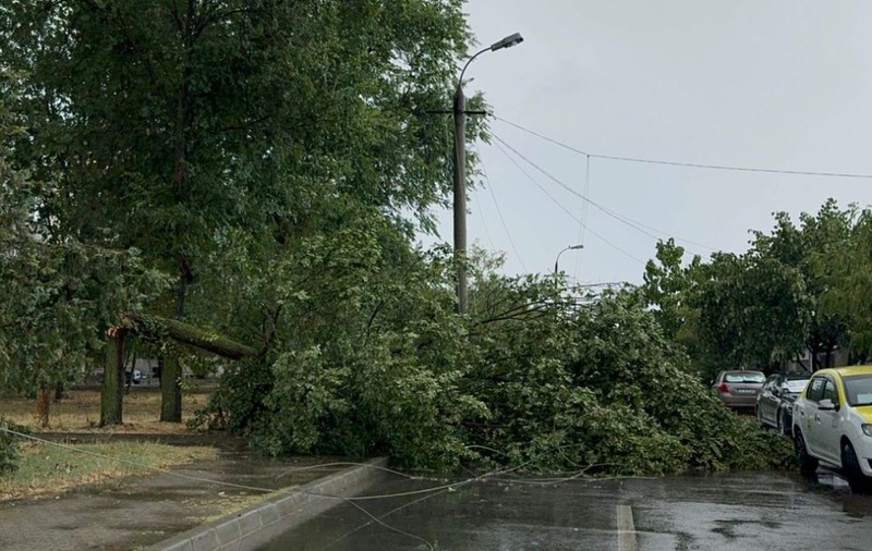 Vijelie puternică la Constanța. Pompierii au intervenit pentru copaci doborâți, acoperișuri smulse și un stâlp de electricitate căzut