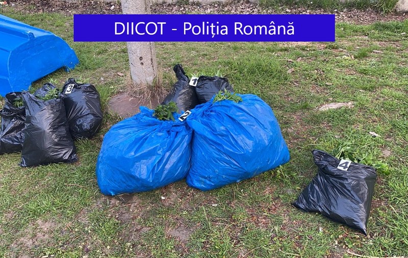 Doi bărbați din Galați, prinși când aruncau trei saci cu cannabis în Dunăre