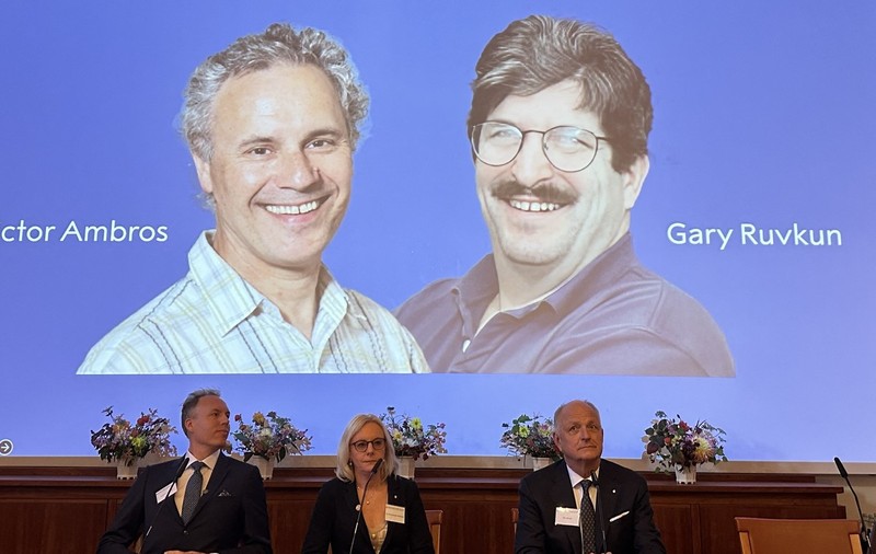 Premiul Nobel pentru Medicină 2024, acordat cercetătorilor Victor Ambros şi Gary Ruvkun, pentru descoperirea  revoluționară a „microARN”