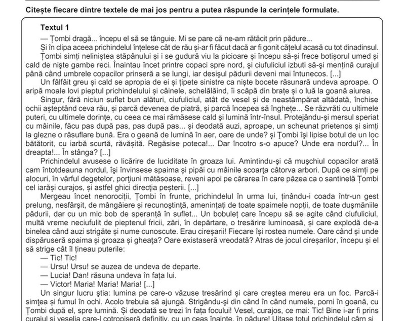Subiectele la Română la Evaluarea Națională 2025. Ce a picat la prima probă a examenelor pentru clasa a 8-a