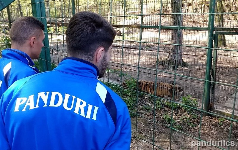 Edi Iordănescu şi-a dus jucătorii la Zoo. "Nu pierdem" / FOTO&VIDEO