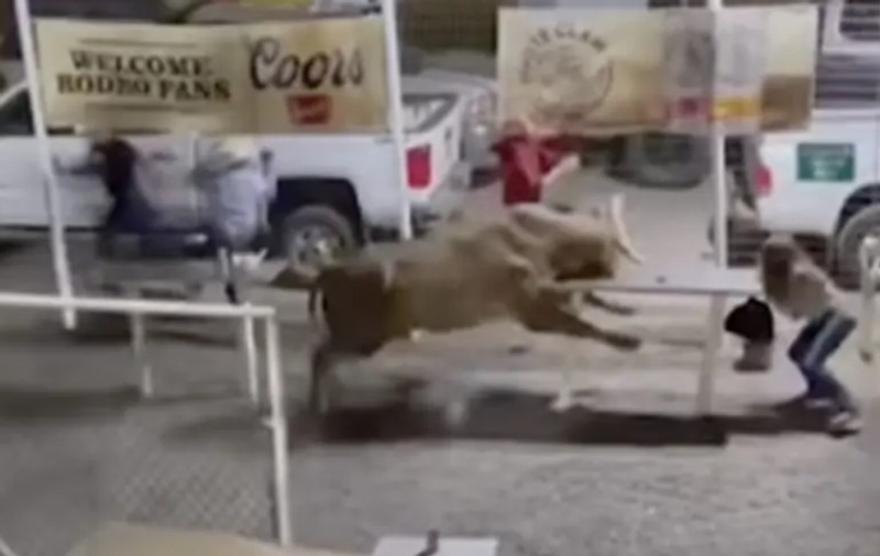 Taurul „Party Bus” a evadat din arena de rodeo și a luat în coarne 3 oameni, inclusiv o femeie îmbrăcată în roșu, în SUA | VIDEO