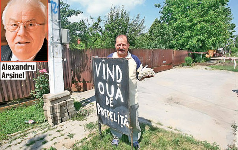 Arșinel, client fidel la ouă de prepeliță