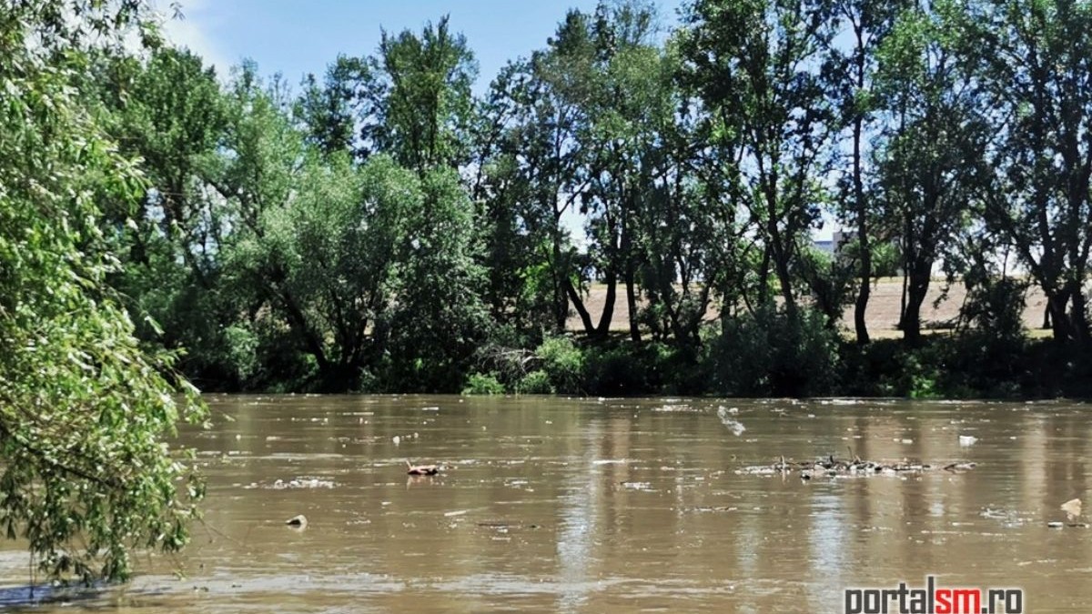 Un rău murdar, prin de gunoaie, în jurul lui copaci verzi