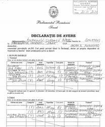 Declarația de avere de pusă de Diana Șoșoacă la Senat