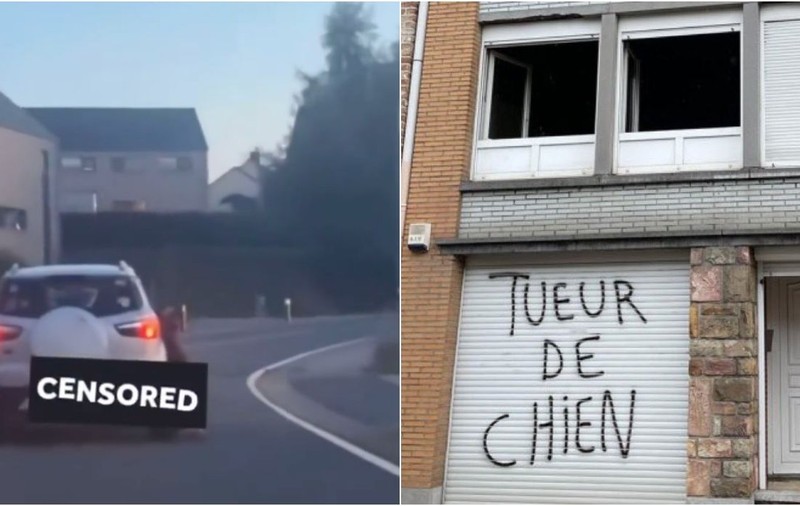 Mulțime furioasă incendiază casa unui bărbat care și-a chinuit câinele, trăgându-l cu mașina mai mulți kilometri I VIDEO
