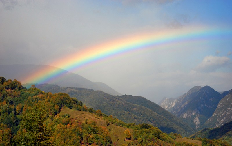 Care sunt culorile curcubeului și ce înseamnă ROGVAIV