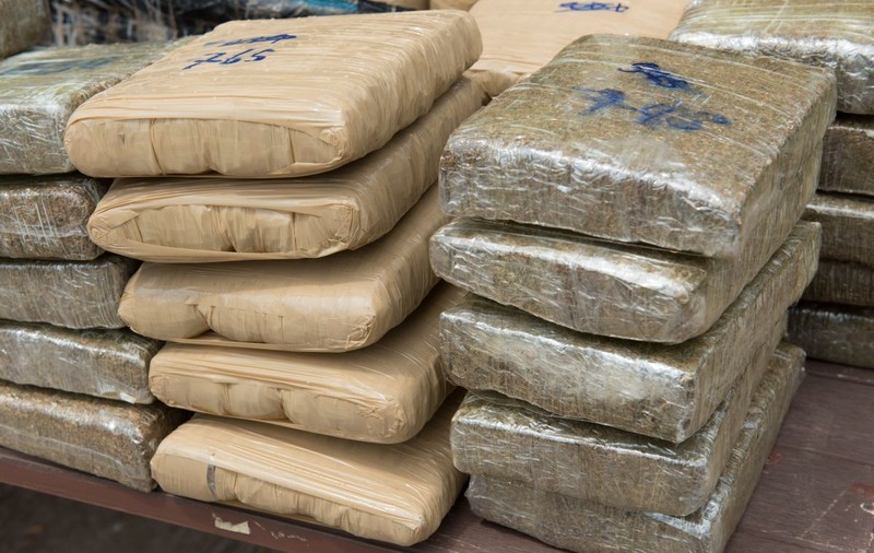 200 de kilograme de droguri confiscate au dispărut dintr-un depozit, în India. Poliția spune că le-au mâncat șobolanii