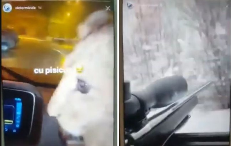 Victoraș Micula, aroganță maximă imediat după ultima ispravă. S-a filmat în mașină cu un pui de leu și pușca cu lunetă