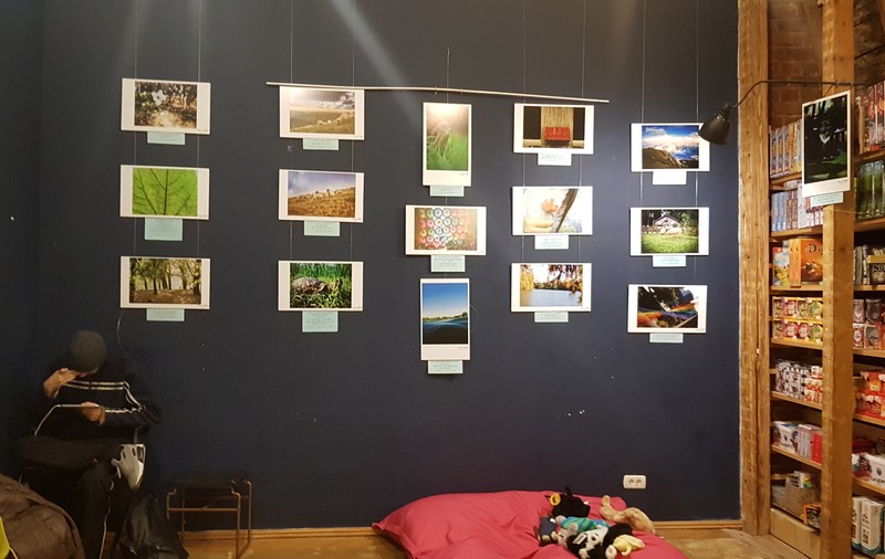 FOTO/Și copiii din centrele de plasament vor să ajungă mari! Au învățat să facă fotografii și au arătat lumii bucăți din sufletele lor