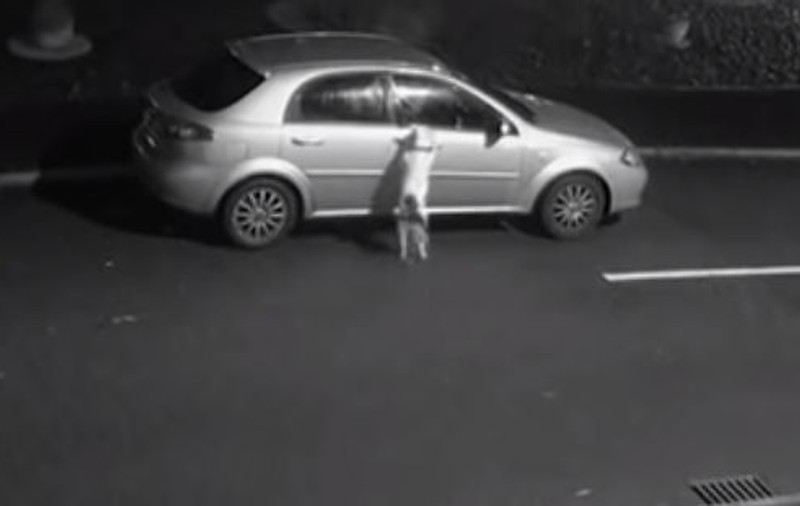 VIDEO | Gest emoționant făcut de Snoop Dogg. Rapperul vrea să adopte un câine abandonat înainte de Crăciun