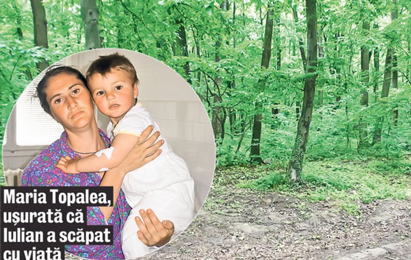 Un băieţel de nici doi ani a stat o noapte singur în pădure!