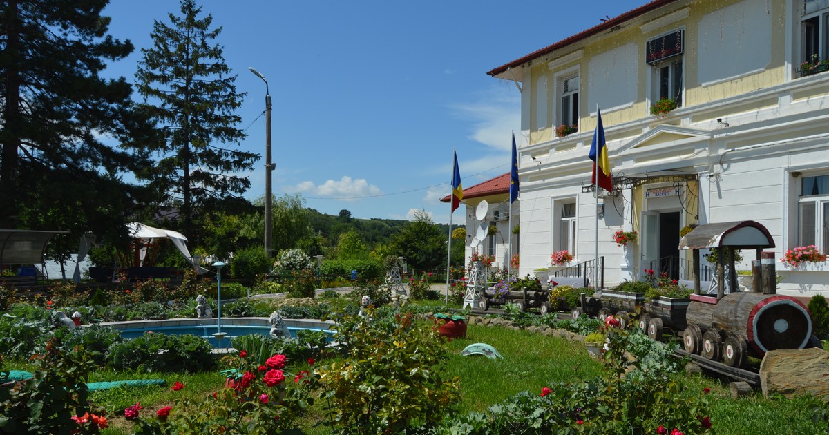 Arhiva foto