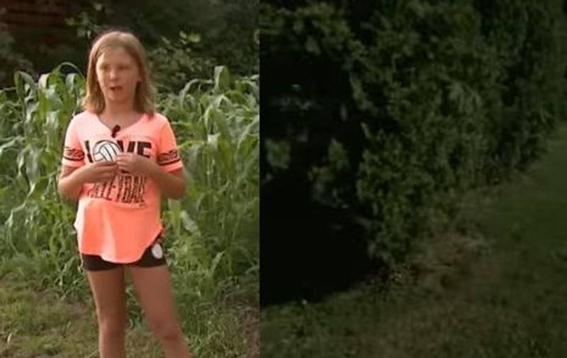 O fetiță a ieșit din casă cu gândul să caute prin iarba din grădina casei sale. Oamenii spun că este un miracol ce a găsit | VIDEO