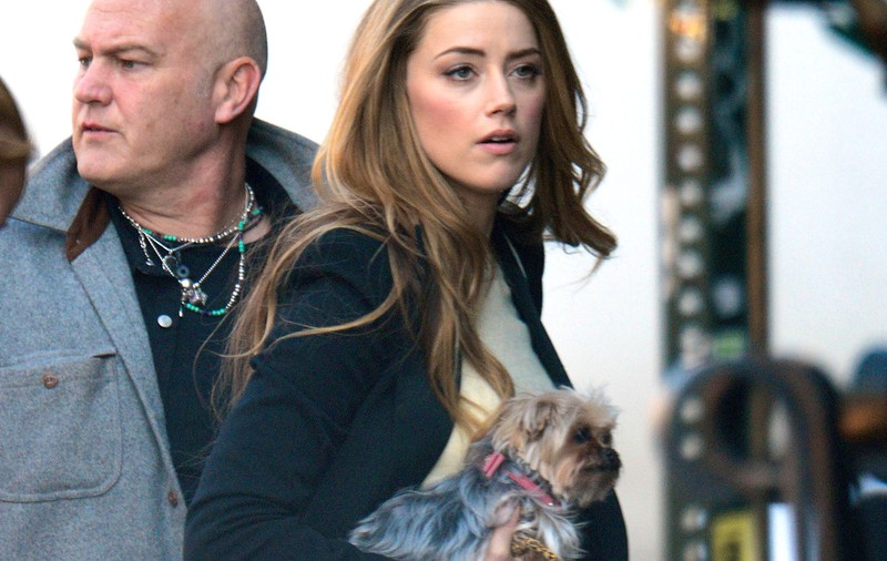 Războiul dintre Amber Heard și Johnny Depp continuă. Actrița îi interzice acestuia să se mai apropie de cățelul ei, cerând custodia unică a patrupedului