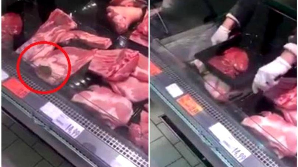 Magazinul Kaufland din Curtea de Argeș, unde a fost filmat un șoarece a fost amendat