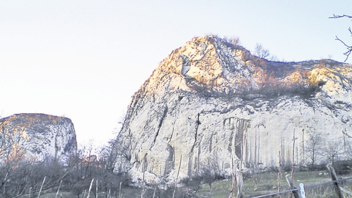 Arhiva foto