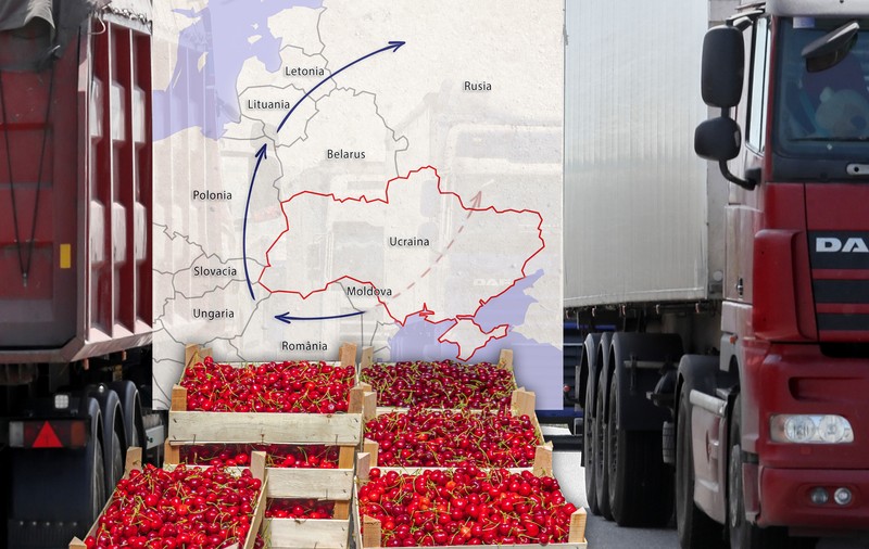 Interviu cu un TIR-ist care transportă cireșe spre Rusia: „Mănâncă tot, fără pretenţii şi plătesc bine”