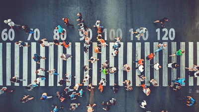 colaj-shutterstock_1529868773