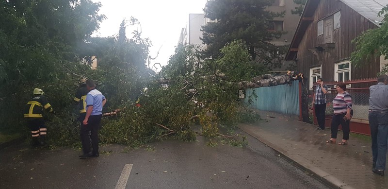 Pompierii intervin în Suceava pentru a îndepărta un copac doborât de vântul puternic / foto: ISU Suceava
