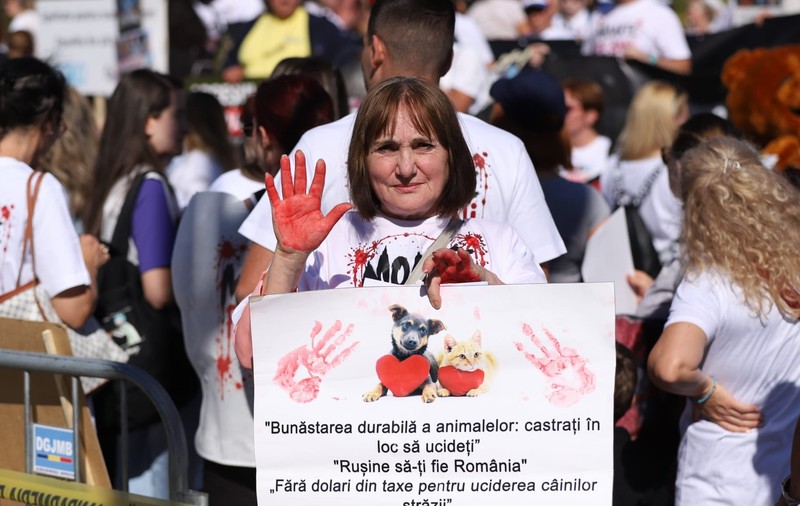 O femeie aflată în mijlocul protestatarilor își ridică palma acoperită cu vopsea roșie și ține o pancartă cu imaginile unui cățel și ale unei pisici alături de mesaje de protecție a animalelor.