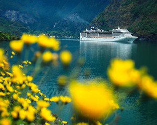 Imagine cu un vas de croazieră în Flam, Norvegia Foto: Ionuţ Iordache