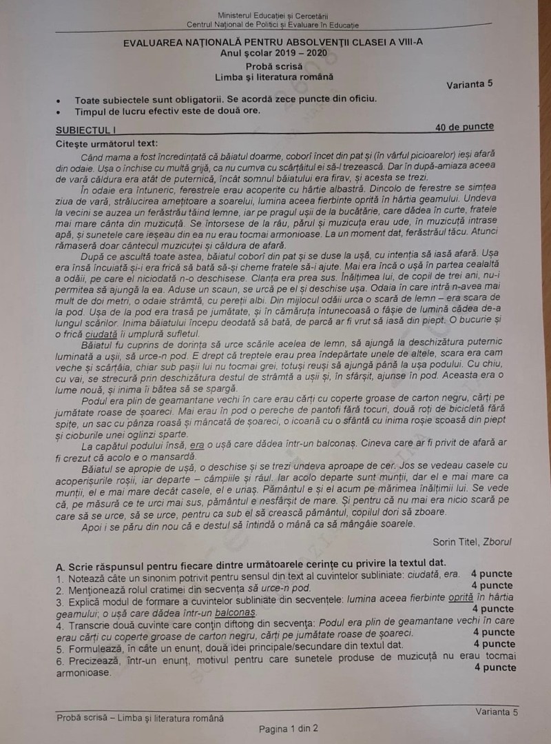Subiecte Romana la Evaluarea Nationala 2020