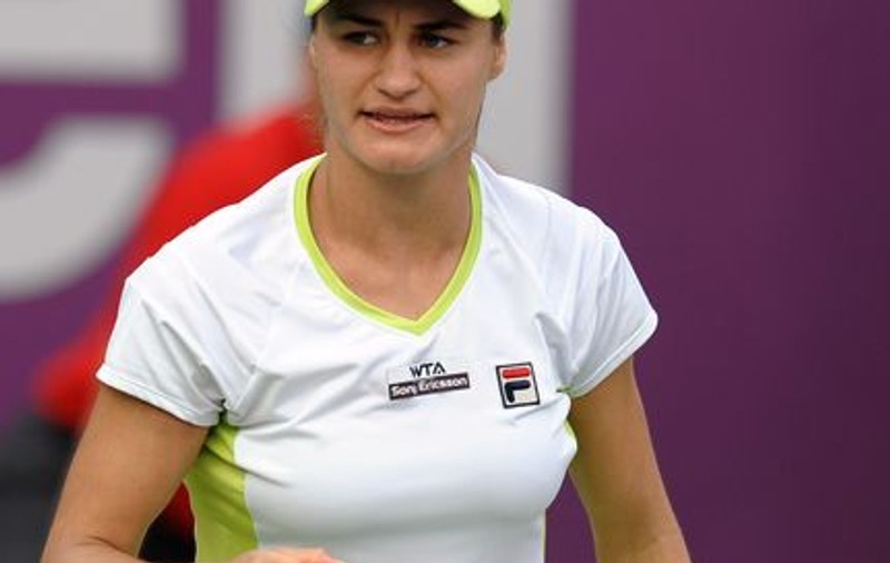 ROMÂNIA - SERBIA, FEDCUP. MONICA NICULESCU: "Zgura este atuul nostru, e suprafaţa ideală pentru noi"