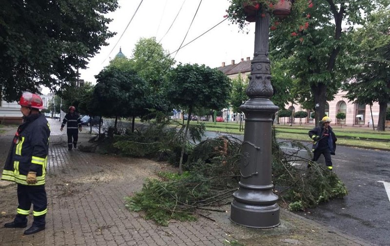 O furtună puternică a făcut dezastru într-o localitate din Vâlcea. Vijelia a smuls acoperișuri și a pus la pământ zeci de arbori