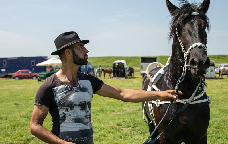 Cum arată un târg tradițional de cai de rasă, în Lunca Dunării. O tradiție păstrată de peste 3.000 de ani! | GALERIE FOTO