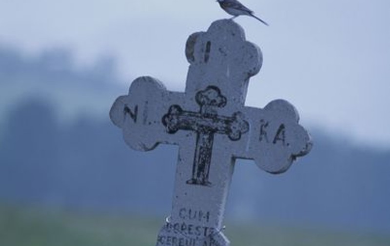 Blestem! O familie de patru persoane (mamă, tată, fiu, fiică) a murit în decursul a doi ani în morţi violente