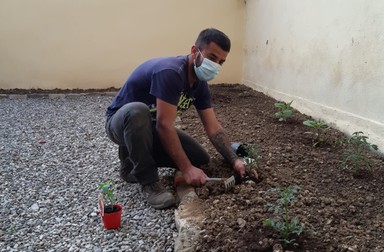 Irinel, la lucru, în timp ce sădește plante în curtea unui client. În funcție de situație, românul în vârstă de 36 de ani se protejează cu mască
