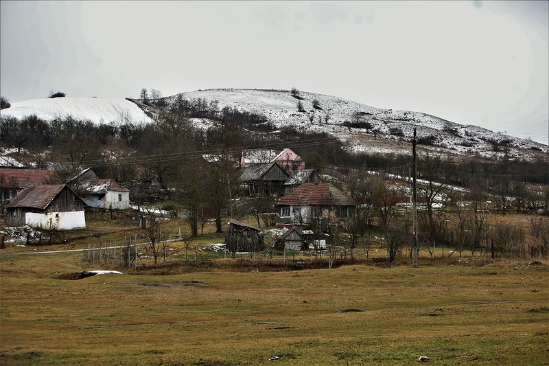 Arhiva foto