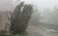 O furtună cu ploaie torențială și vânt puternic care înclină arborii de lângă o casă din cărămidă.