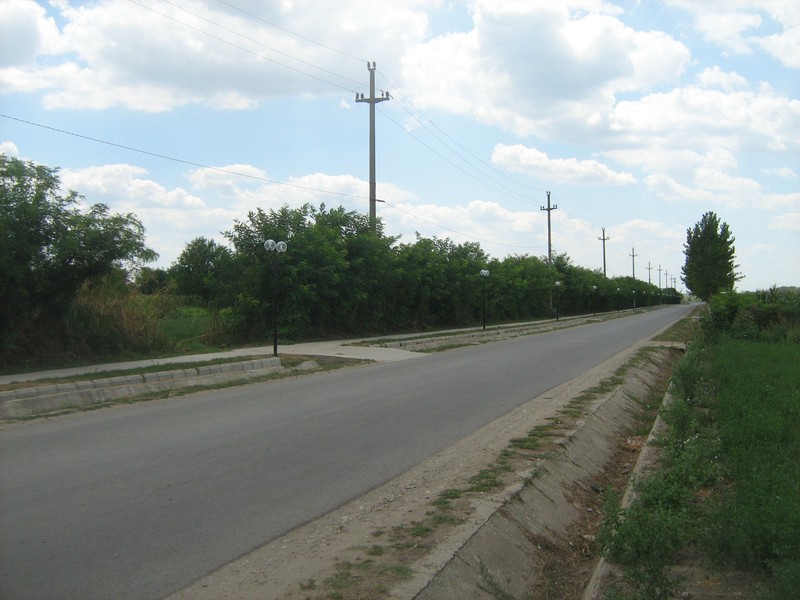 Arhiva foto