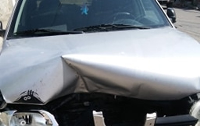 O mașină care circula pe Autostrada Soarelui a lovit niște mistreți: „E acea fracțiune de secundă când îți vezi filmul vieții dinaintea ochilor și în filmul ăla jucau, din senin, trei porci”