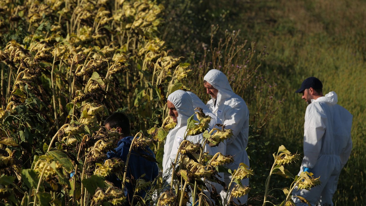 Arhiva foto