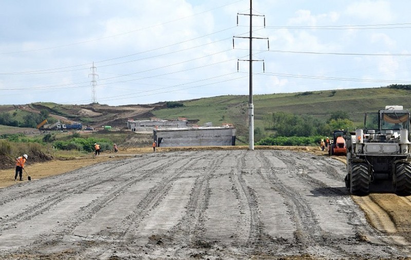 Cum vor muta autoritățile gândacul care pune în pericol autostrada Pitești-Sibiu