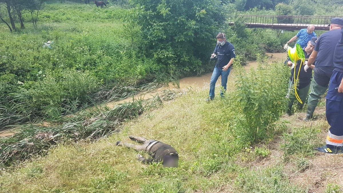 O femeie din Dolj a fost găsită moartă într-un pârâu din apropierea casei