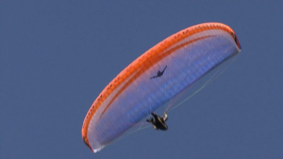 Parapantist ucis de elicea paramotorului, în județul Timiș