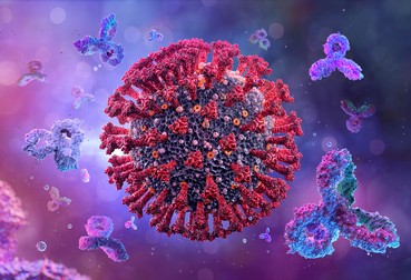 Experţii cred că anticorpii ar putea fi mai eficienţi decât plasma | Foto: shutterstock
