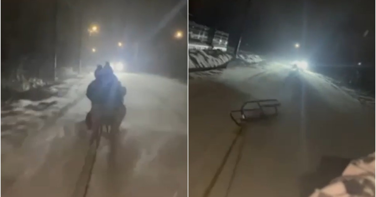 Imaginea surprinde o sanie trasă pe o șosea acoperită de zăpadă, pe timp de noapte, în timp ce farurile unei mașini se apropie din sens opus. În a doua secvență, sania apare abandonată pe carosabil, sugerând un moment periculos petrecut în trafic.