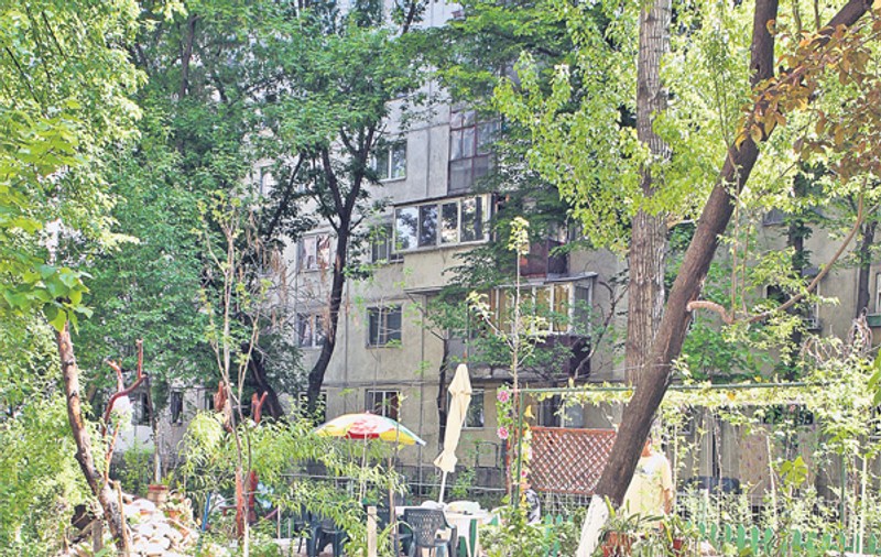 Fă-ţi o grădină de vis la bloc. Te învăţăm, pas cu pas, cum să amenajezi spaţiul verde