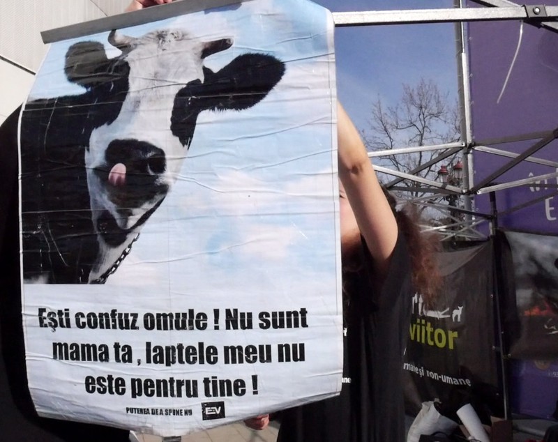 VIDEO Veganii au protestat în mai multe locuri din București: „Carnea e o crimă”