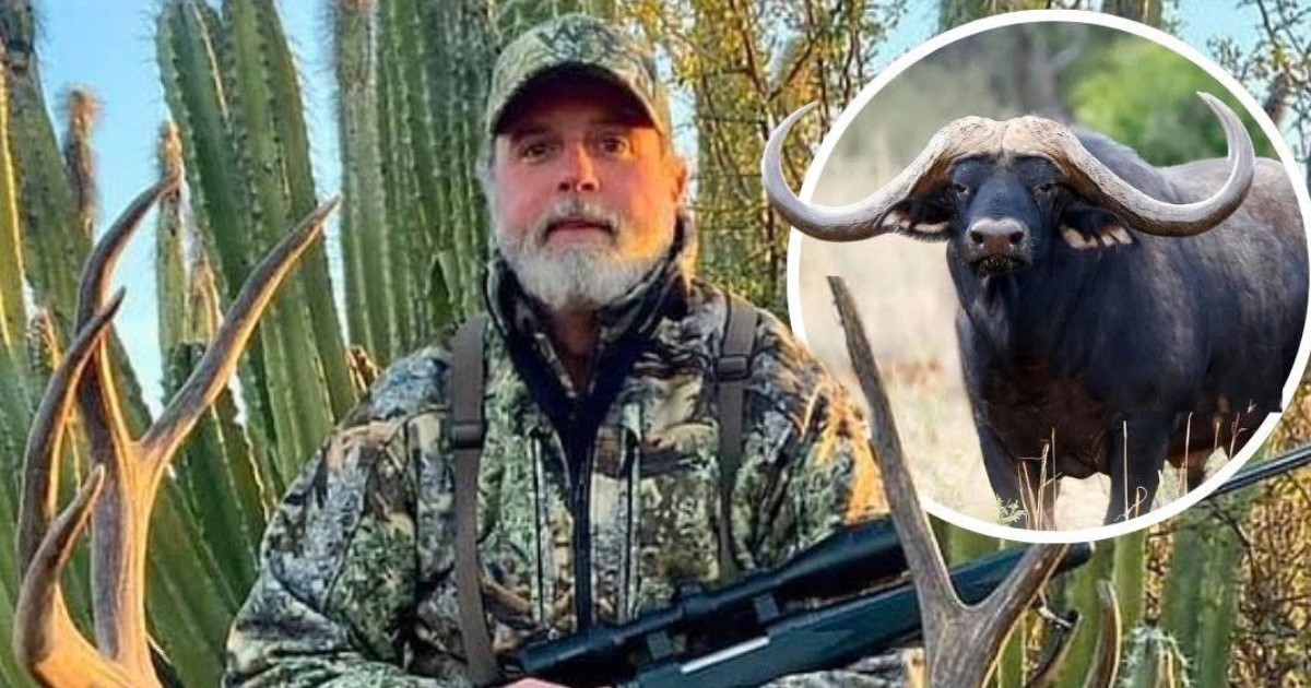 In imagine in costum de camuflaj, sapca si pusca care pozează in fata unor cactusi inalti. in medalion, un bivol negru cu coarne mari