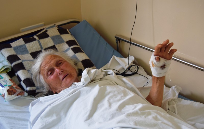 Bătrână din Ivești, sfâșiată de câinii vecinilor | A ajuns la spital cu leziuni grave